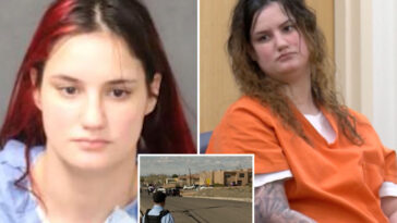 ‘reckless’-mom-sobs-as-learns-fate-for-toddler-son-fatally-shooting-himself-with-gun-he-found-in-her-purse