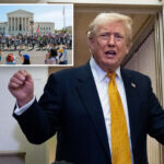 trump-demands-supreme-court-re-examine-birthright-citizenship-case:-‘miscarriage-of-justice’
