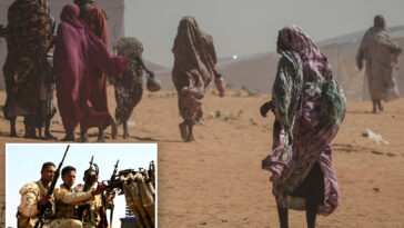 un-probe-says-mass-killings,-rapes,-abductions,-starvation-by-sudan-force-amount-to-genocide