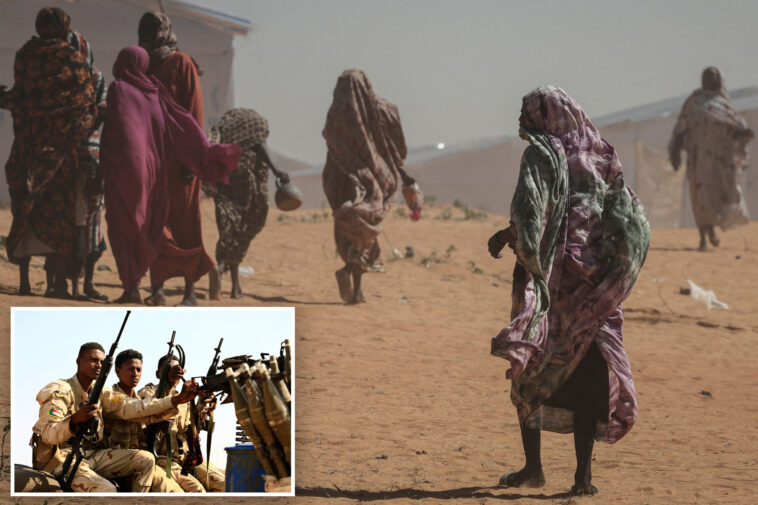 un-probe-says-mass-killings,-rapes,-abductions,-starvation-by-sudan-force-amount-to-genocide