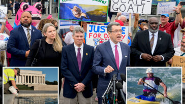 ex-olympic-canoeist-david-hearn-pleads-not-guilty-to-vandalizing-lincoln-memorial-reflecting-pool:-‘not-a-crime-to-touch-water’