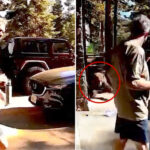 heart-stopping-moment-aggressive-bear-charges-man-on-vacation-at-lake-tahoe-home