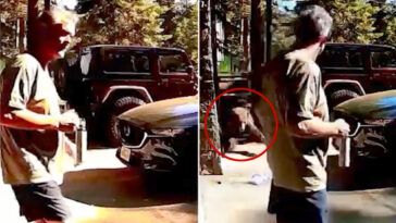 heart-stopping-moment-aggressive-bear-charges-man-on-vacation-at-lake-tahoe-home
