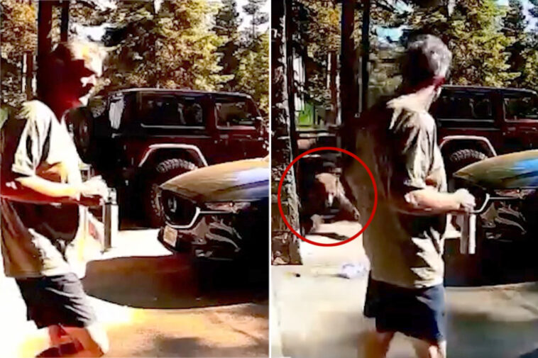 heart-stopping-moment-aggressive-bear-charges-man-on-vacation-at-lake-tahoe-home