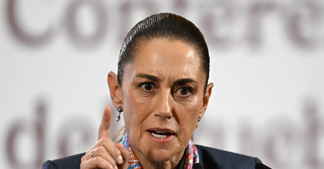 mexico-threatens-legal-action-against-ice-over-shooting-of-illegal-alien-in-texas