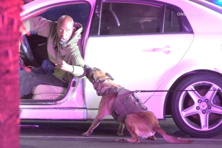 savage-moment-k-9-drags-suspect-from-car-in-socal-standoff-before-cops-swarm