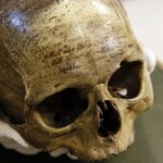 identity-politics-is-burying-science