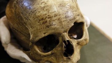 identity-politics-is-burying-science
