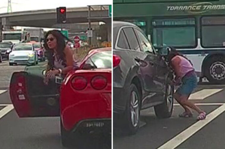 astonishing-moment-red-corvette-driver-has-vicious-road-rage-fight-with-rival