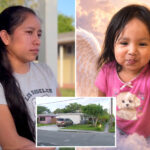 florida-girl,-2,-dies-after-babysitter-leaves-her-in-blistering-hot-car-for-3-hours
