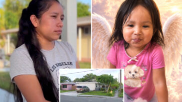 florida-girl,-2,-dies-after-babysitter-leaves-her-in-blistering-hot-car-for-3-hours