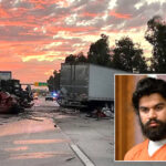illegal-immigrant-trucker-driver-admits-to-role-in-deadly-ontario-crash