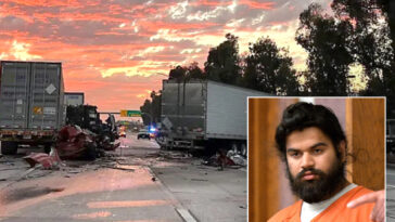 illegal-immigrant-trucker-driver-admits-to-role-in-deadly-ontario-crash