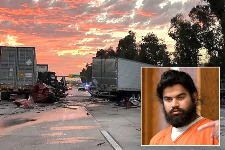 illegal-immigrant-trucker-driver-admits-to-role-in-deadly-ontario-crash