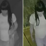 police-searching-for-creep-who-raped-boy,-15,-in-back-of-nyc-home