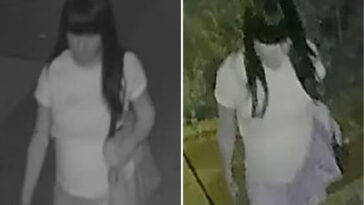 police-searching-for-creep-who-raped-boy,-15,-in-back-of-nyc-home