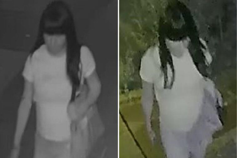 police-searching-for-creep-who-raped-boy,-15,-in-back-of-nyc-home