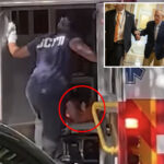 mitch-mcconnell-seen-being-loaded-into-ambulance-after-suffering-apparent-cardiac-arrest,-new-video-shows