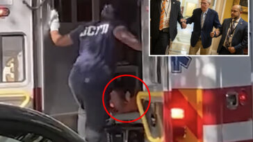 mitch-mcconnell-seen-being-loaded-into-ambulance-after-suffering-apparent-cardiac-arrest,-new-video-shows
