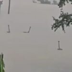 horrified-villagers-living-in-fear-after-hundreds-of-venomous-snakes-escape-farm-as-floodwaters-crush-city