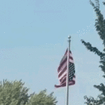 upside-down-american-flag-at-minnesota-somali-celebration-sparks-community-chaos:-‘unfathomable’