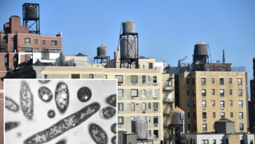 over-half-the-cooling-towers-in-nyc-legionnaires’-outbreak-area-issued-violations-in-recent-months:-records