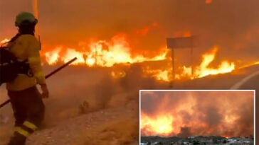 at-least-12-dead-and-23-more-missing-in-one-of-spain’s-deadliest-wildfires