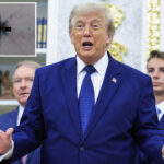 haunting-video-of-six-pointed-object-in-latest-trump-ufo-file-dump-—-as-proof-of-alien-life-remains-elusive