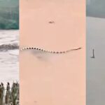 horror:-first,-a-reservoir-collapsed-in-china-and-the-village-was-flooded-–-then,-came-the-escaped-venomous-snakes-by-the-hundreds-(videos)