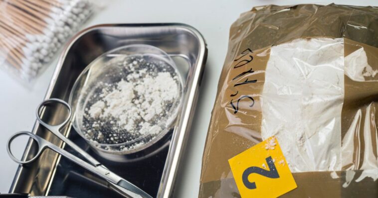 texas-professor-pleads-guilty-to-moonlighting-as-fentanyl-kingpin-–-traded-drugs-for-sex