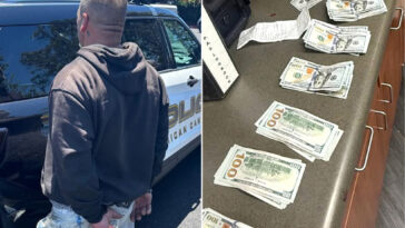 boneheaded-bay-area-burglar-busted-after-snapping-selfies-during-$100k-heist