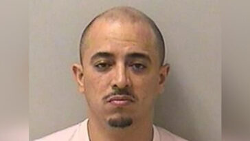 ice-asks-sanctuary-illinois-not-to-release-illegal-migrant-charged-with-raping-child