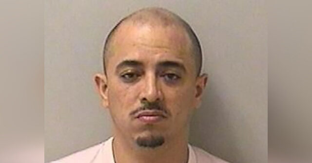 ice-asks-sanctuary-illinois-not-to-release-illegal-migrant-charged-with-raping-child