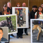 socal-dog-trainer-learns-fate-for-trapping-and-killing-11-dogs