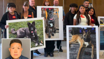socal-dog-trainer-learns-fate-for-trapping-and-killing-11-dogs