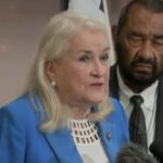 watch:-“even-a-kid-would-tell-you”-–-democrat-rep.-sylvia-garcia-says-ice-should-obviously-shoot-the-tires-when-drivers-try-to-run-them-over,-only-whites-are-safe-from-ice
