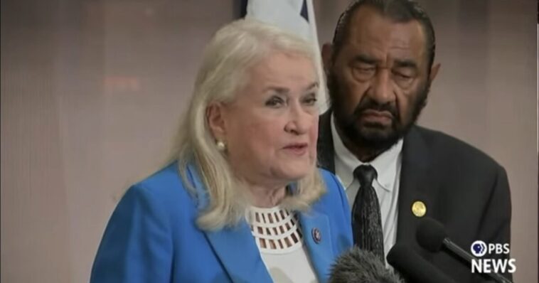 watch:-“even-a-kid-would-tell-you”-–-democrat-rep.-sylvia-garcia-says-ice-should-obviously-shoot-the-tires-when-drivers-try-to-run-them-over,-only-whites-are-safe-from-ice
