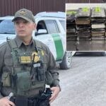 texas-border-officers-crack-open-cabbage-shipment,-uncover-$10.8m-worth-of-cocaine