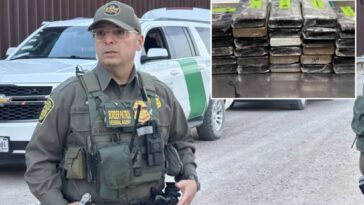 texas-border-officers-crack-open-cabbage-shipment,-uncover-$10.8m-worth-of-cocaine