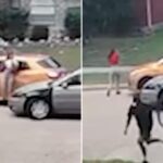 chaotic-moment-texas-doordash-driver-gets-hit-by-suspect-fleeing-from-police-—-and-still-makes-delivery