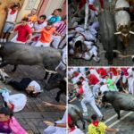 runner-gored-in-face-as-bulls-charged-through-thrill-seeking-crowds-during-spain’s-famed-run