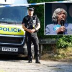 uk-police-release-man-arrested-over-killing-of-former-politician-ann-widdecombe