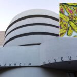 guggenheim-museum-is-among-31-ues-buildings-infected-with-legionnaires-bacteria