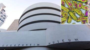 guggenheim-museum-is-among-31-ues-buildings-infected-with-legionnaires-bacteria
