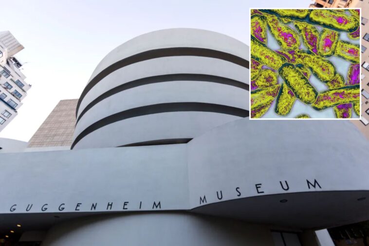 guggenheim-museum-is-among-31-ues-buildings-infected-with-legionnaires-bacteria