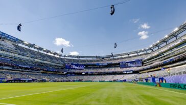 fifa-charging-$450-for-pieces-of-field-to-be-used-in-world-cup-final