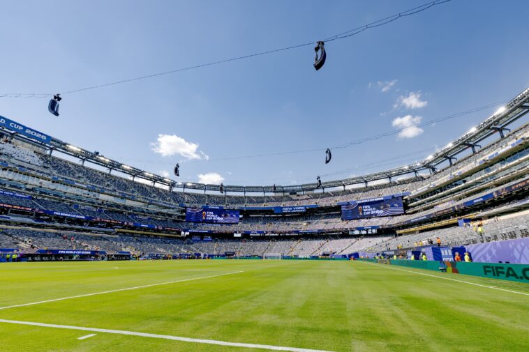 fifa-charging-$450-for-pieces-of-field-to-be-used-in-world-cup-final