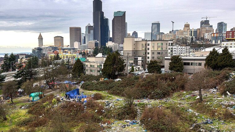 seattle-cleaned-up-for-the-world-cup-but-only-while-the-world-was-watching,-commentator-says