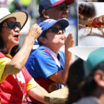 fifa-world-cup-parties-at-macarthur-park-hit-by-bed-bug-concerns