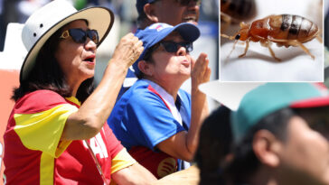fifa-world-cup-parties-at-macarthur-park-hit-by-bed-bug-concerns